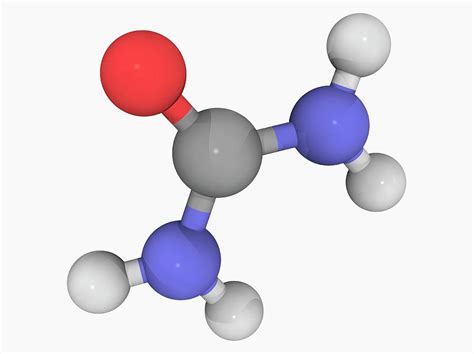  Urea: A Tiny Molecule Powering a Massive Industry!