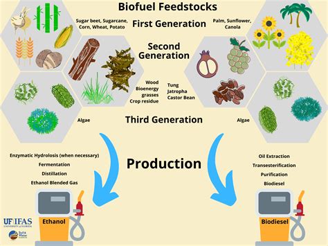 Flaxseed: Exploring the Versatile Potential of This Tiny Powerhouse for Biofuel Production and Textile Applications!